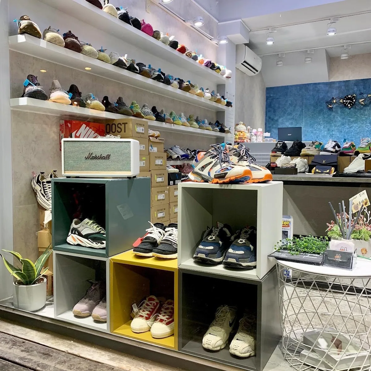 HYC SNEAKERS 4