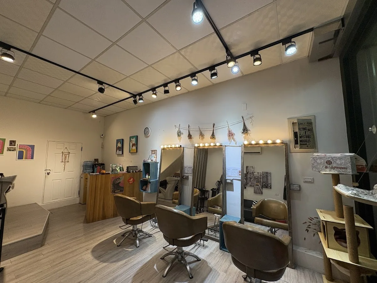 Funny Hair Salon 1