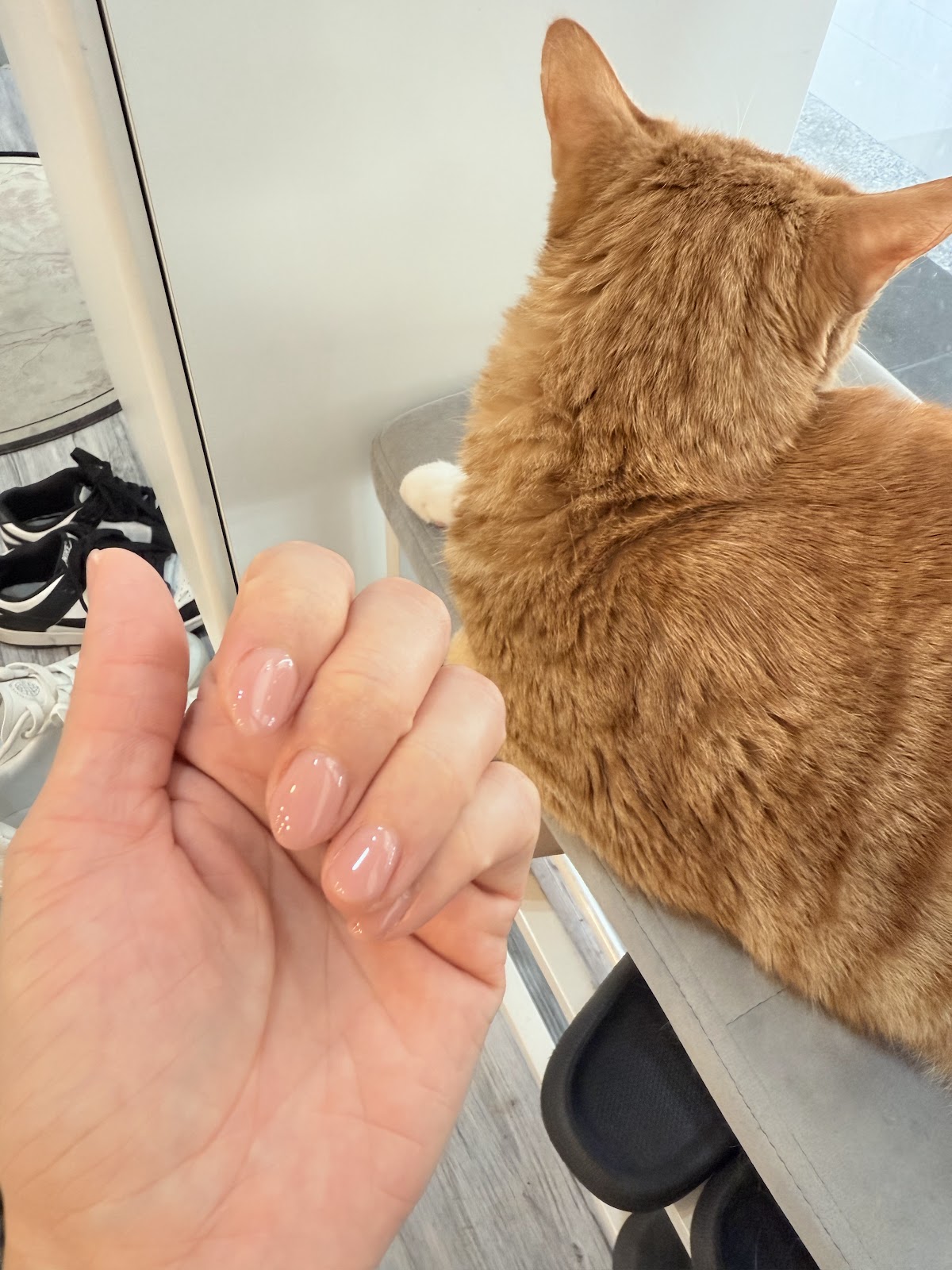 MT美學 美甲/美睫/霧眉/新娘秘書 2