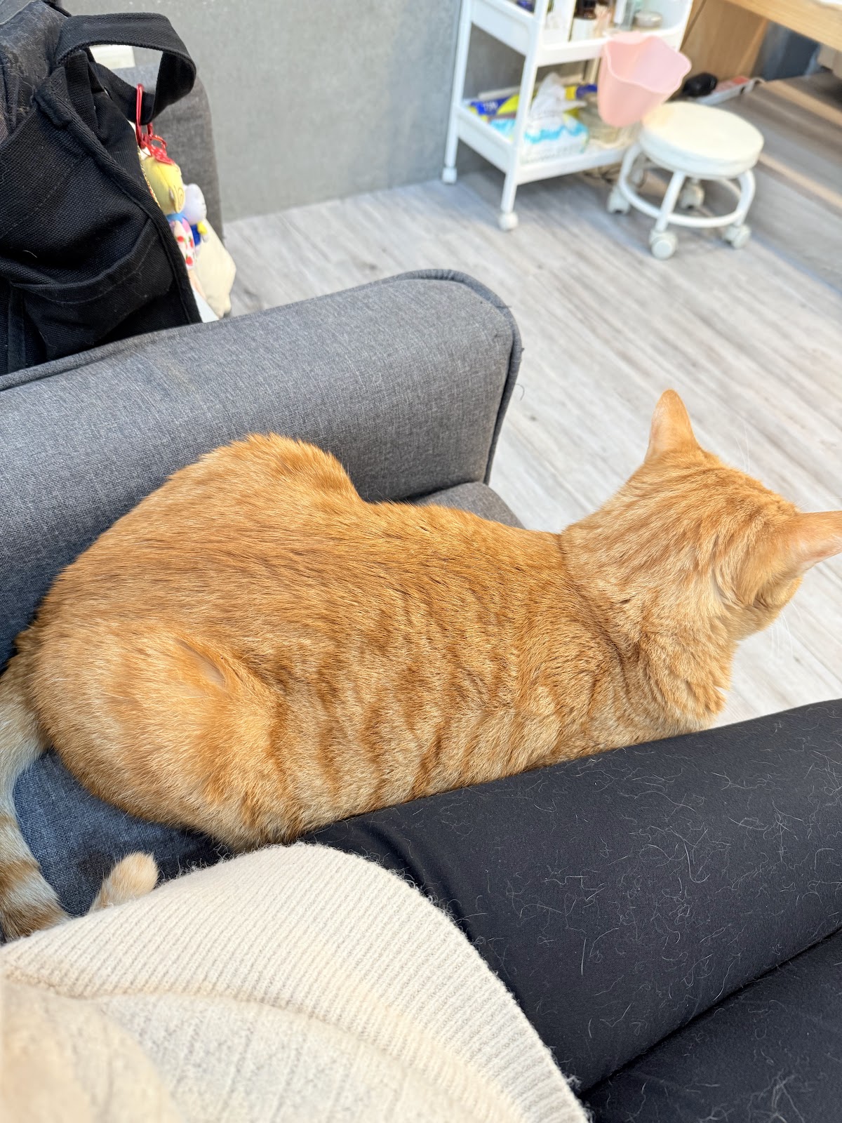 MT美學 美甲/美睫/霧眉/新娘秘書 5