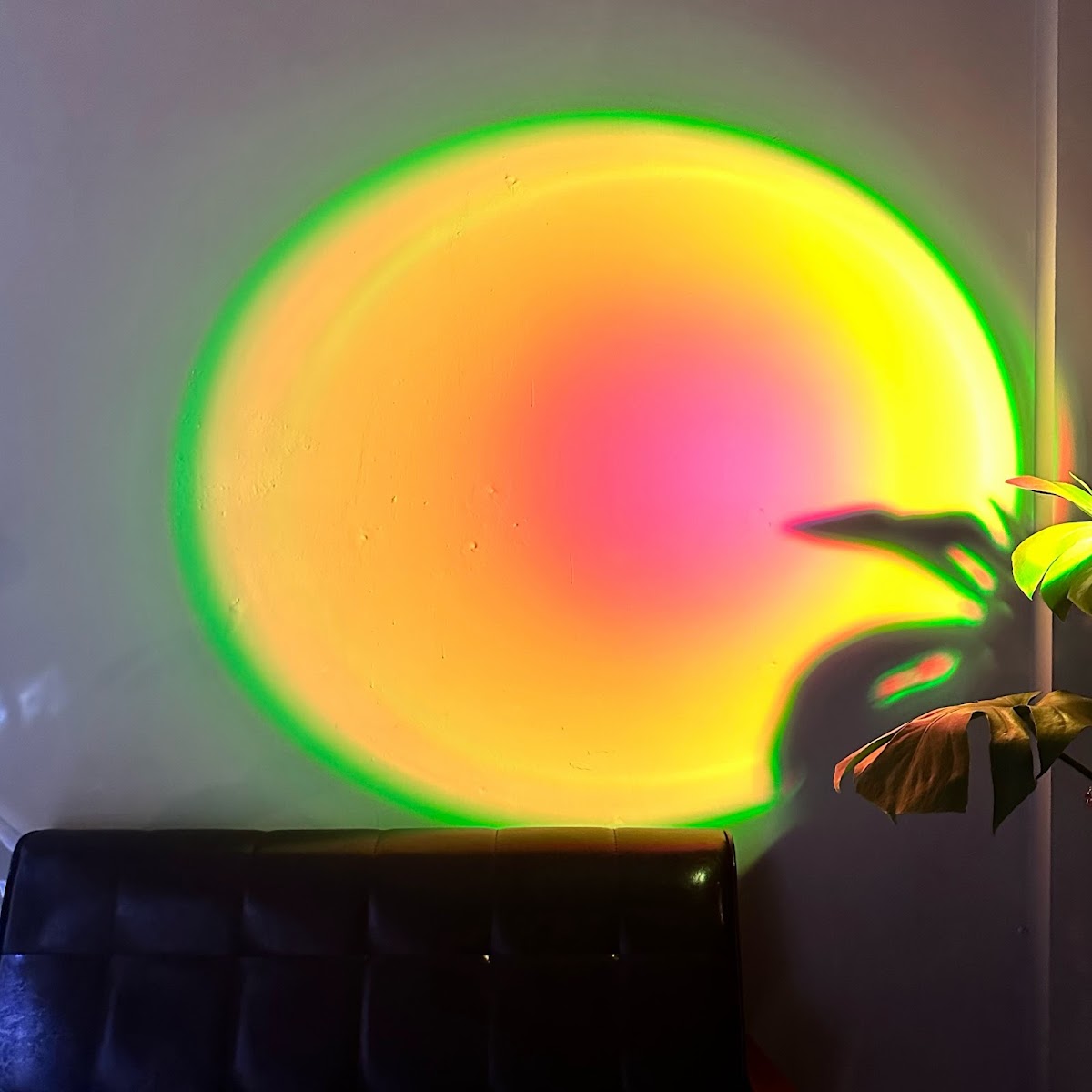 𝗦𝗔𝗟𝗨𝗧 𝗦𝗧𝗨𝗗𝗜𝗢 4