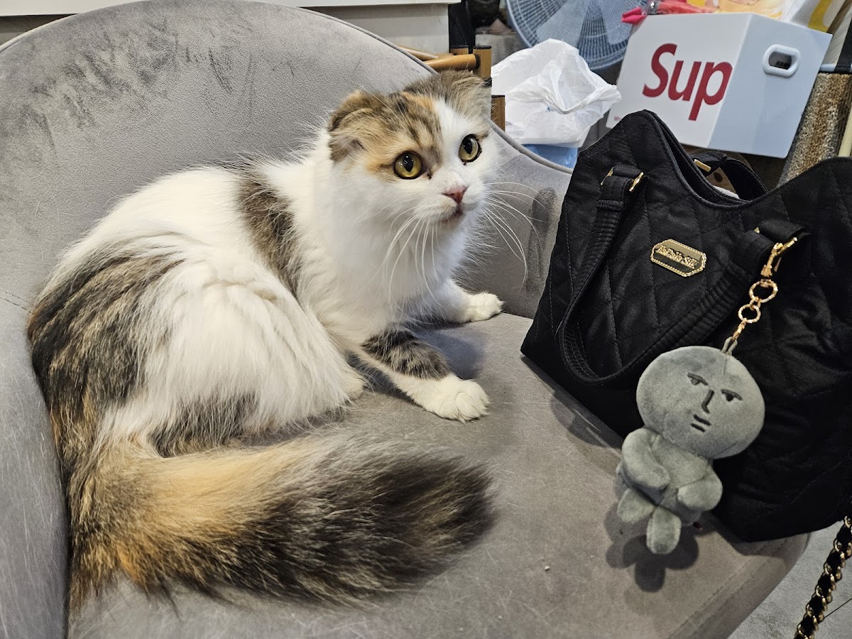 YOUR'S VISUAL 妳的視覺美學丨台中推薦x台中采耳x逢甲采耳x采耳耳燭x第二專長培訓x職業訓練x眼部舒緩x美顏撥筋x頭部經絡x韓式皮膚管理x逢甲做臉x做臉x保濕x按摩x做臉x清粉刺x處方式護膚x到府服務 4