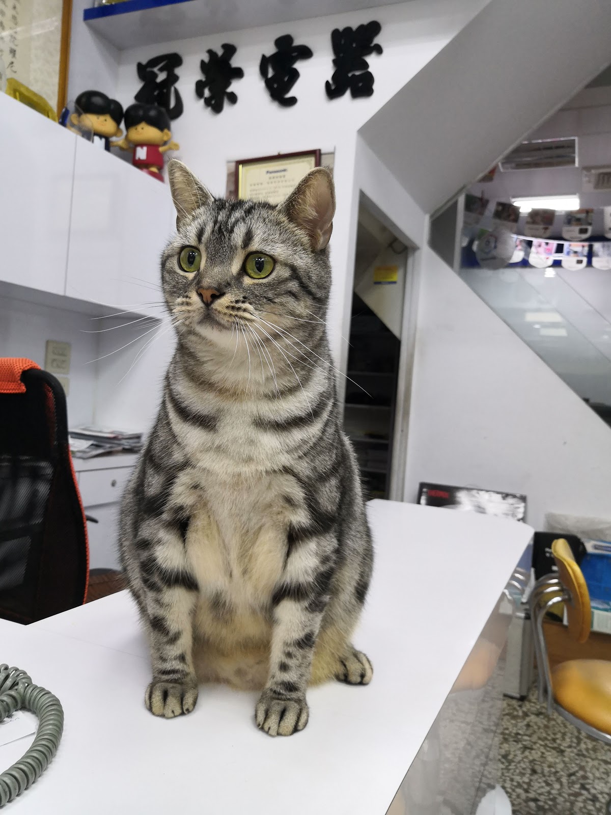 Panasonic 冠榮電器 4