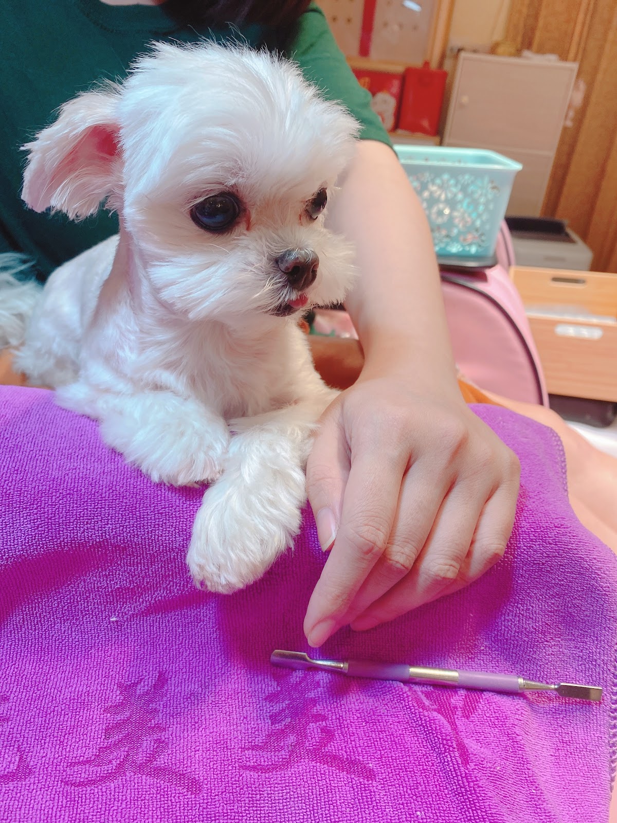 W.M自然美學空間/飄霧眉/美甲美睫/凍甲/教學 5