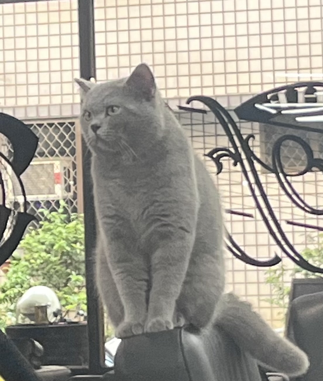 The.oneoff.taichung台中店 4